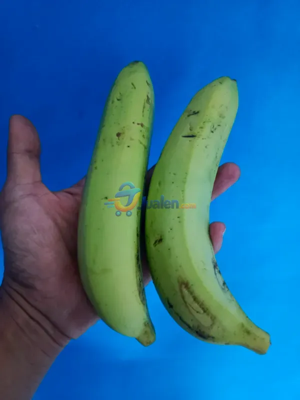 Pisang Hijau