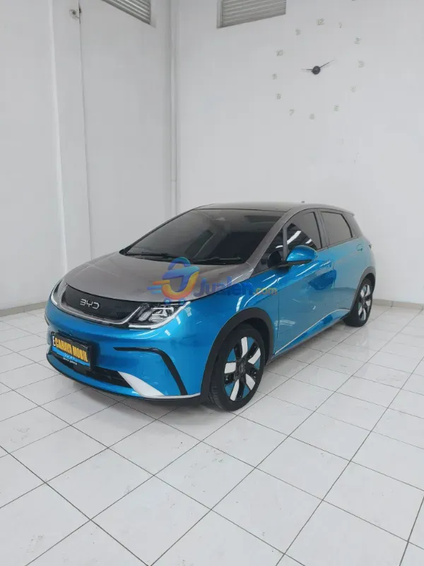 BYD Dolphin Premium 2024